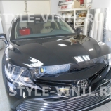 ������������� ������ ���� �������  (������������)