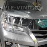 ������������� ������ ������ ���� �������